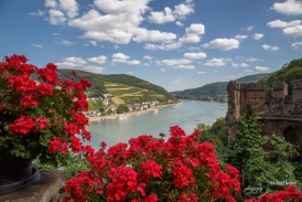 Burg Rheinstein-Ausblick auf den Rhein
