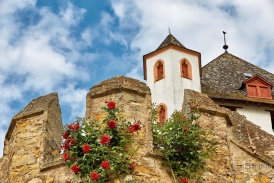 Burg Eltville -  Burgmauer mit Rosen