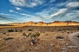 Red Rock Canyon: in the morning