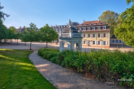 Staatspark Wilhelmsbad: Sommer 2021-2